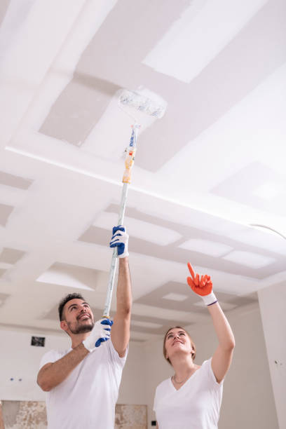 Best Residential Mold Inspection & Testing  in Enon, VA